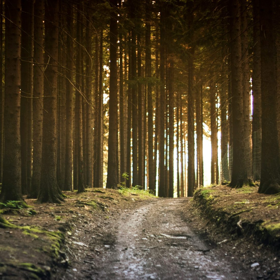 elke-karin-lugert-GraajutbJHE-unsplash